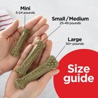 Brushing Chews Daily Dental Dog Treats  Chicken Flavor  Large  25 Count