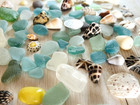 Rare Sea Shell  From Japan  Surf-tumbled Beautiful Shell From Okinawa Small