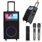 Professional Karaoke System Machine With Lyrics Display   2 Wireless Microphones