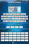Zimbabwe 10 Billion Dollars  2008  P-85  Used  Tap Authenticated