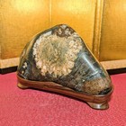 Japanese Suiseki Bonseki Viewing Stone Chrysanthemum Stone Neo Valley W base