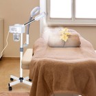 Salon Spa Facial Steamer Sauna Beauty Equipment Skin Care Ozone Machine