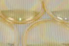 Photogenic Photomaster Pm106q25 Uv Coated Flash Tube Cover Glass 
