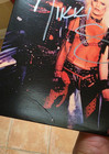 Nikki Sixx Signed Motley Crue Too Young To Fall In Love 45 Vinyl Record Satd