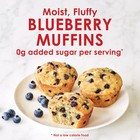 Duncan Hines Keto Friendly Blueberry Muffin Mix  8 5 Oz 