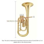 E Flat Brass Lacquered Golden Horn 3 Vertical Key Jyah-e100g Alto Trumpet