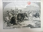 1854 Illustrated Newspaper Wth Engraving Native American Indians Hunting Buffalo