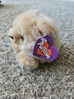 Puffkins Plush Honey Light Brown Bear Plush  6602 Swibco Nwt 