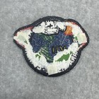 Apollo 7 Lion Brothers Vintage Original Nasa Cloth Back Space Mission Patch