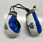 El-salvador Flag  Mini Boxing Gloves Country Pride Flag Car Truck Auto Gift