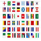 Flags Of The World Multi Nations Bunting 15 Metre 48 Xl Flags Speedy Delivery