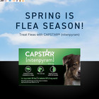 Oral Flea Treatment For Dogs  Fast Acting Tablets Start Killing Fleas In 30 Minu