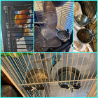 Kathson Parrot Feeding Dish Cups stainless Steel Bird Food Water Bowl Parakeet F