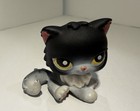 Authentic Hasbro Littlest Pet Shop Black white Persian Cat 