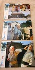 Original 1977 The Invincible Armour Complete 12 Lobby Card Set Hong Kong Kung Fu
