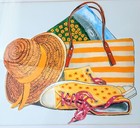 Framed Signed Art Print   Summer Gear   By Salada  Matted  15 x12  Beach Core 