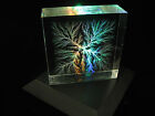 2  X 2  X 3 4  Captured Lightning Center Lichtenberg Figure Beam Tree Sculpture