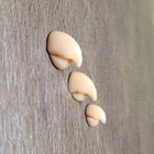 3 Size Mini Simulation Parrot Beak Bird Mouth For Parrot Needle Felting Craft