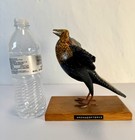 Hand Carved Wooden Archaeopteryx Sculpture Painted Prehistoric Bird Folk Art