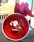 Pottery Barn Holiday Rudolph Reindeer Santa Christmas Plate  Utensil Party Set N