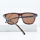 Tom Ford Fletcher Tf832 Sunglasses Havana Brown Men 59mm New