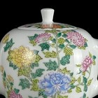 Chinese Pastel Porcelain Handpainted Exquisite Flower plant Pattern Teapot 12615