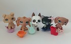 5pcs lot Lps Toys Littlest Pet Shop Cat Dog W accessories Animal Figures 336