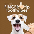 Petkin Fingertip Tooth Wipes For Dogs And Cats  50 Finger Wipes