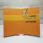 Hallmark Birthday Greeting Card 5x7 Snoopy Orange Confetti Niceness