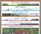 Mint Sheets Nature Of America Series  1-12 Set Of 12 Different Sheets Mnh Fv  45