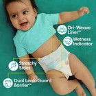 Pampers Baby Dry Diapers Size 4  28 Count     Overnight Protection  Unisex