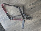 Horse Halter