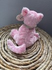 Ty Beanie Baby        Carnation The Cat 6  Stuffed Plush New Mwmt s