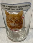 Vintage 1981 Morris The Cat 9 Lives Promo Drinking Glass Something Irresistible
