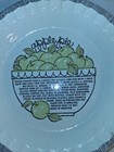 Vtg 1983 Apple Pie Recipe Baking Serving Dish Made In Usa Royal China Jeannette