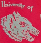 Vintage 1970s University Of New Mexico Lobos Football Pennant  Wow