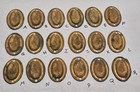 Antique Victorian Ornate Back Plate Grapes Brass Drawer Furniture Hardware Oval