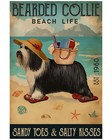 Bearded Collie Dog Beach Life Sandy Toes Salty Kisses Poster Vintage Est 1960