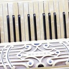 Vintage Art Deco Hohner Accordion  Mother Of Pearl Pearloid Tested Works