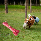 Dog Chew Toy   Pet Toy   Dog Bone   Dog Rubber Dog Chew Toy   Pet Toy Bone