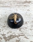 Vintage Scorpion Bug In Resin Round Oddity Decor Piece