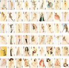 Pinup Girls Playing Cards  poker Deck 54 Cards All Different  Vintage Retro Clas