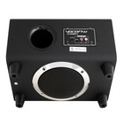 Vocopro Smartoke-pro Dsp Karaoke Mixer W  Wireless Mics   100w 2 1 Speaker