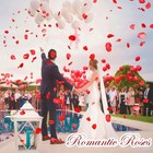 Vkshop 1200 Dark Red Rose Petals - Artificial Fake Rose Flower Petals For Valent