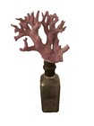 Purple Coral In Vintage Glass Bottle 9    Tall