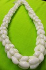 Hawaiian Wedding   Graduation Shell Lei Hula Luau Jewelry Necklace   White