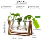 Xxxflower Plant Terrarium Wooden Stand Air Planter Bulb Glass Vase Metal Swivel