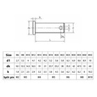 Clevis Pin Hinge Pin Retaining Pin 8 8 High Tensile Steel Rigging Pin M25 M30