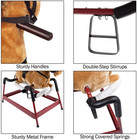 Spring Rocking Horse - Plush Bouncy Ride-on Toy With Fun Sounds  Wood Handles  A
