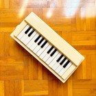 Tomiyama Tomy Ts-14  by Sun  Mini Portable Organ  japan  1950   Battery-powered 
